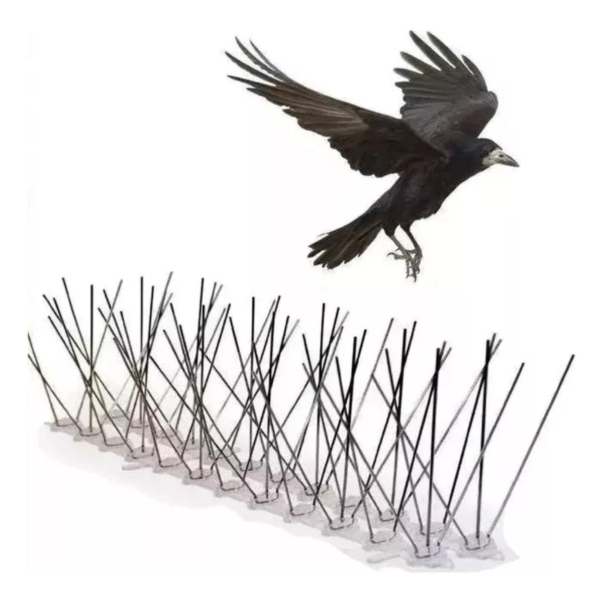 IMPORTCLICK - Pack 10 Puás Ahuyentador Aves Acero Inoxidable 50 CM