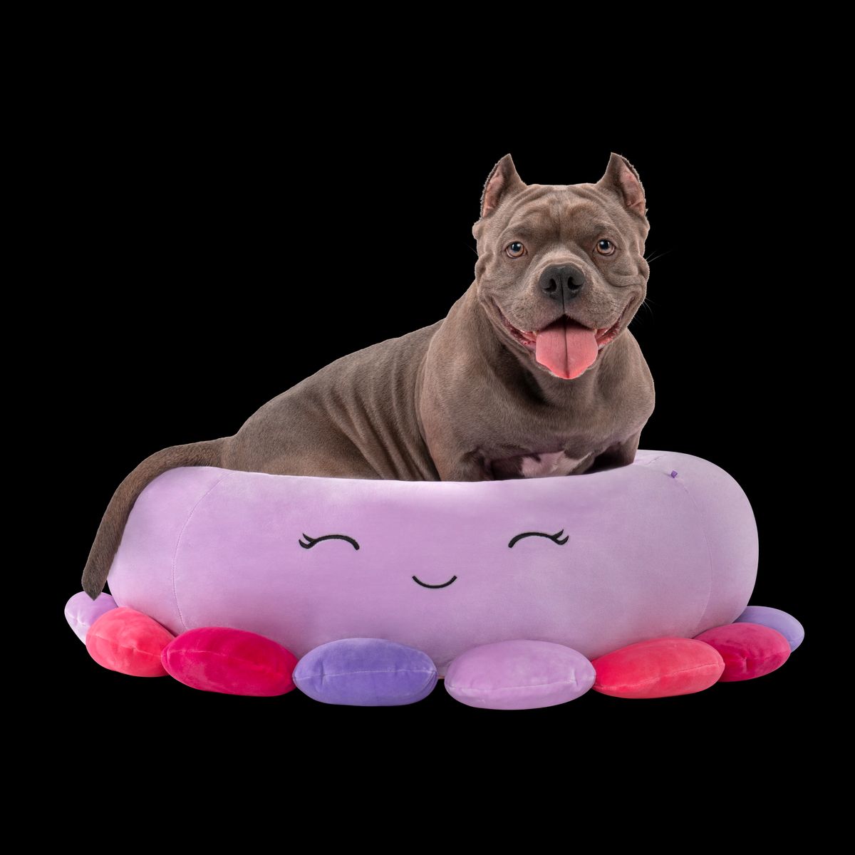 SQUISHMALLOWS - Cama Fucsia grande  para Perro 76 Cm. Squishmallows