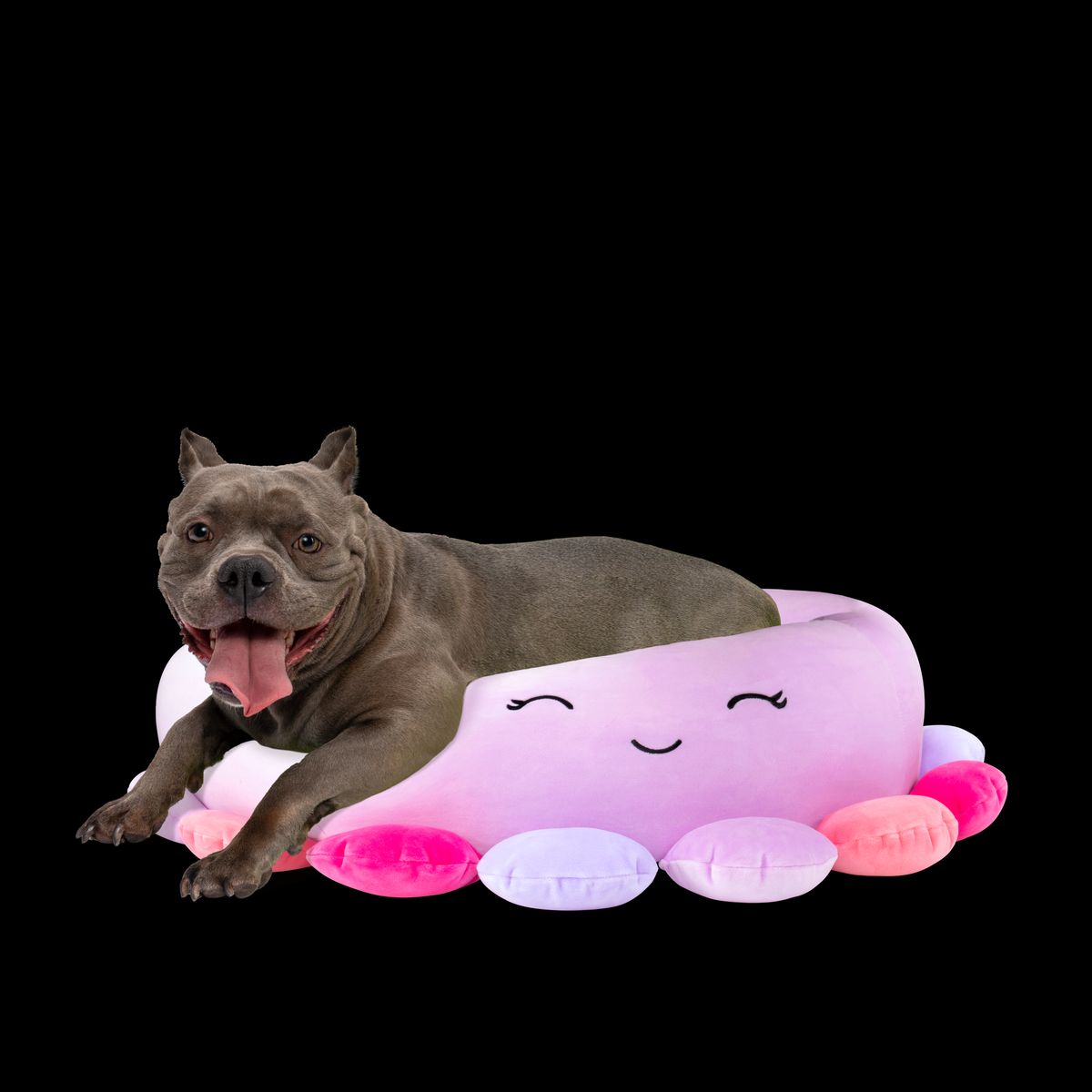 SQUISHMALLOWS - Cama Fucsia grande  para Perro 76 Cm. Squishmallows