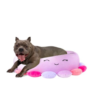 Imagen 2 del producto Cama Fucsia grande para Perro 76 Cm.