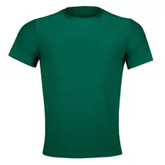 ANDESLAND OUTDOOR APPAREL - Polera Dry Fit Manga Corta Bangsi Pro Verde Hombre