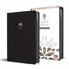 PENGUIN RANDOM HOUSE - Libro Biblia Reina Valera 1960 Letra Grande