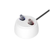 Audífonos Recargables para Sordos Invisibles