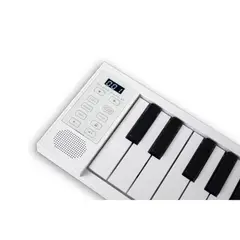 BLACKSTAR - Fp49 Carry-On Piano Plegable