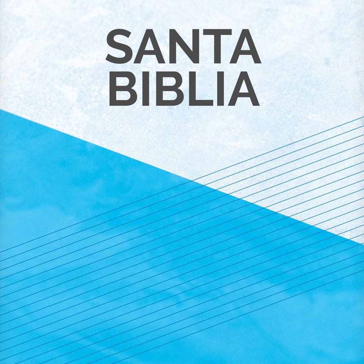 TYNDALE HOUSE PUBLISHERS - Santa Biblia NTV rústica edición semilla