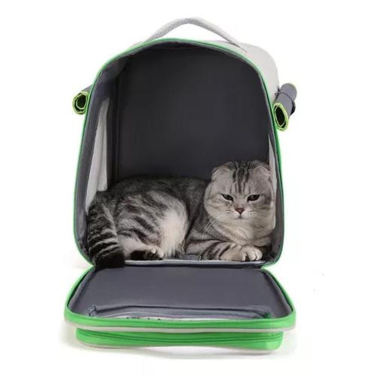 GENERICO - Mochila bolso plegable para mascotas perro y gato verde