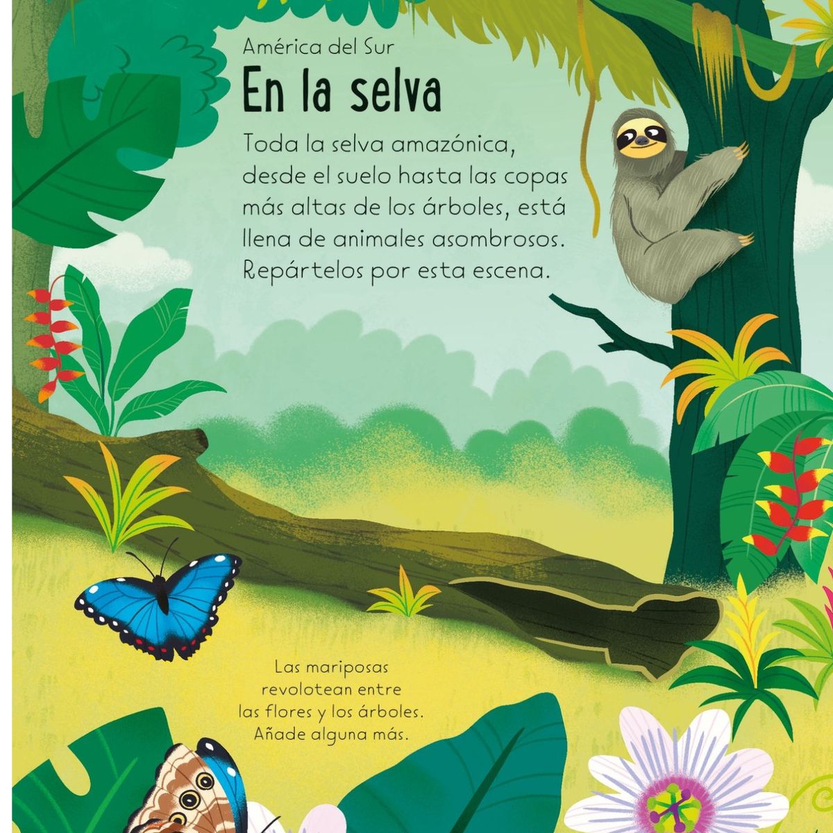 USBORNE - Paisajes del mundo de Editorial Usborne