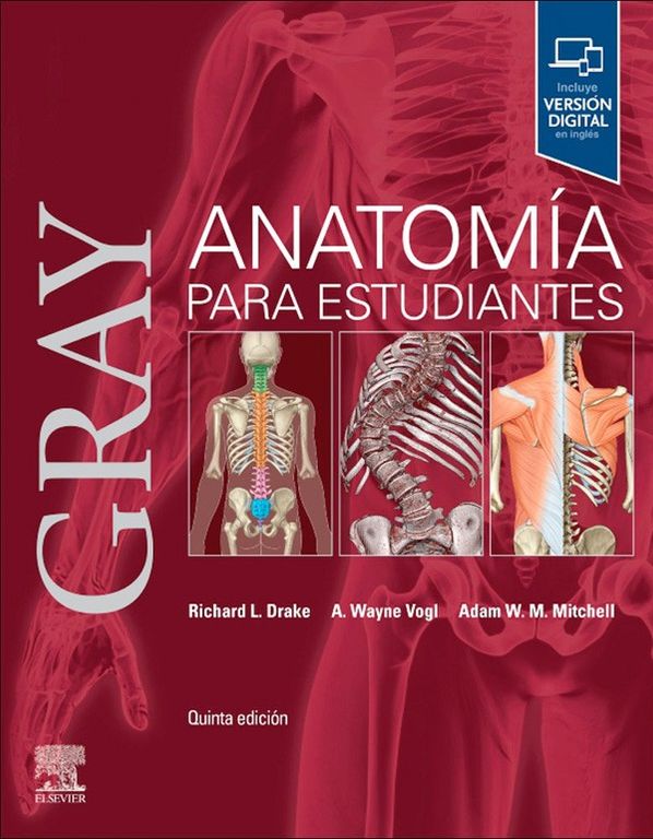 Libro Gray Anatomia Para Estudiantes 5Ed
