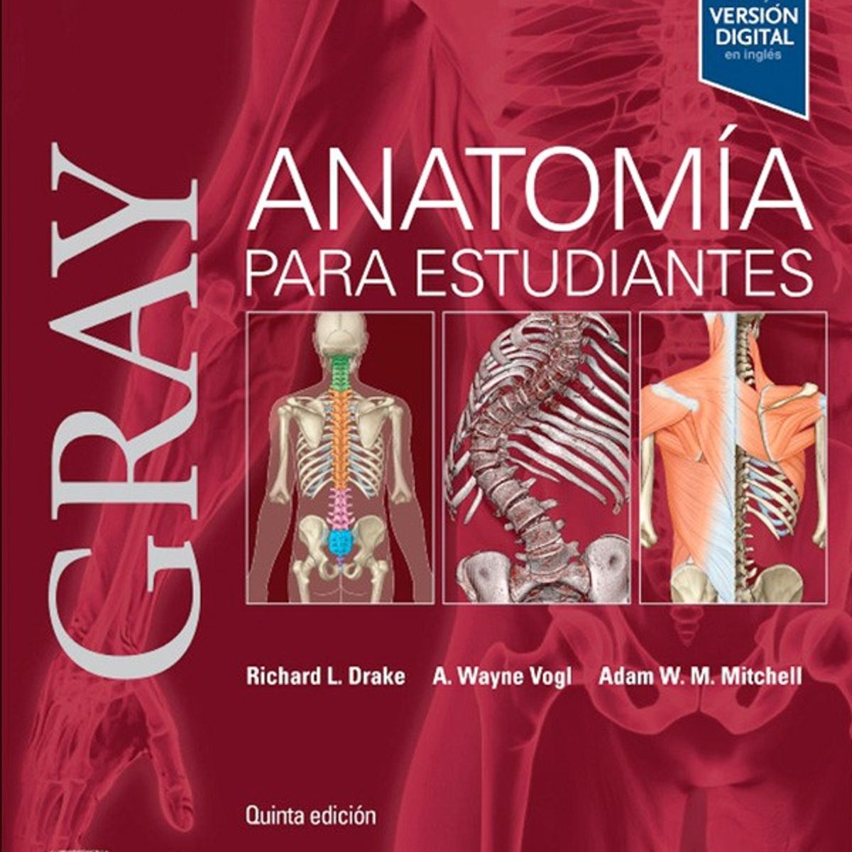 EDITORIAL MEDITERRANEO - Libro Gray Anatomia Para Estudiantes 5Ed