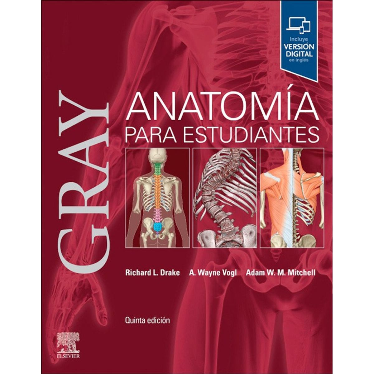 EDITORIAL MEDITERRANEO - Libro Gray Anatomia Para Estudiantes 5Ed