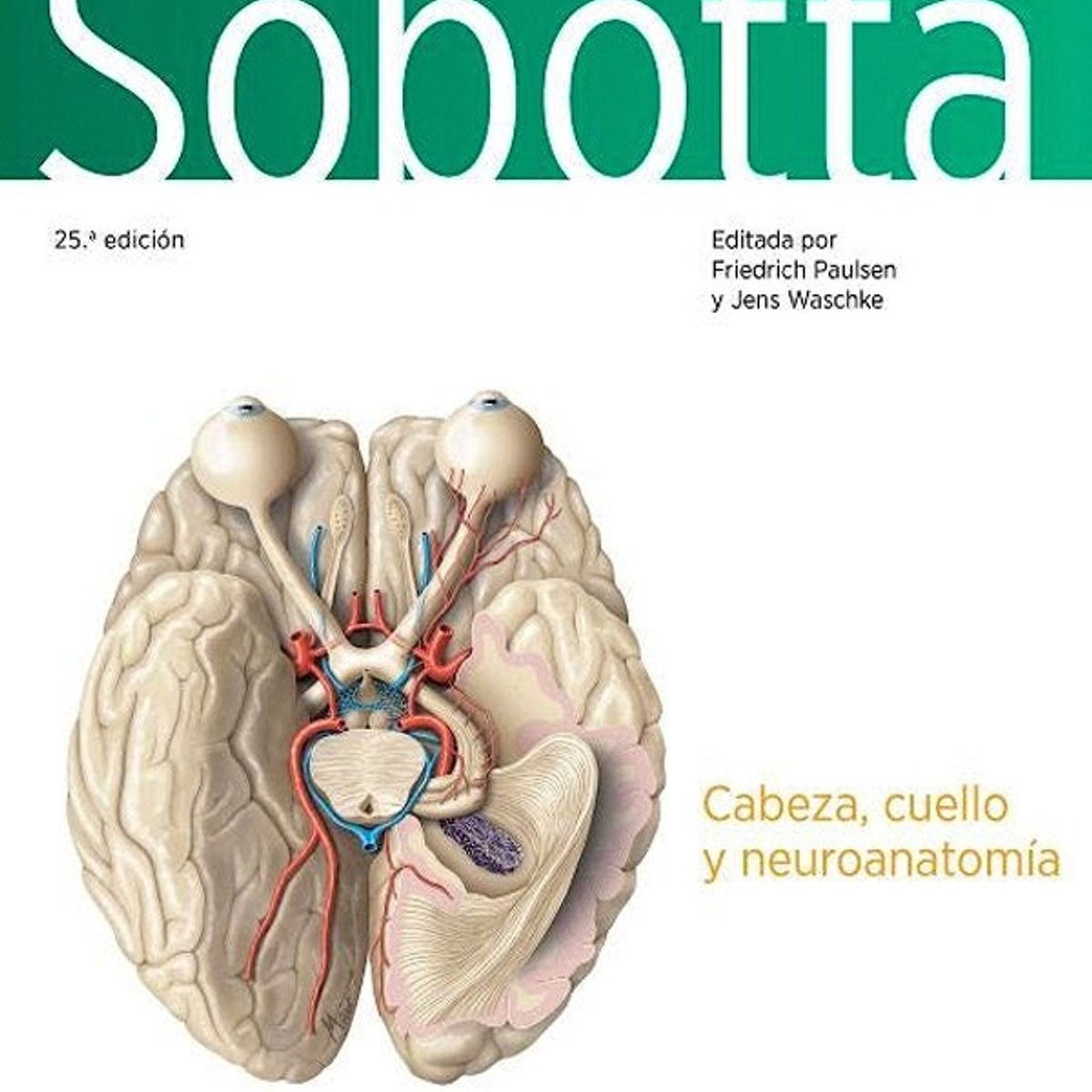 EDITORIAL MEDITERRANEO - Libro Atlas De Anatomia Humana 25Ed.  Vol.3