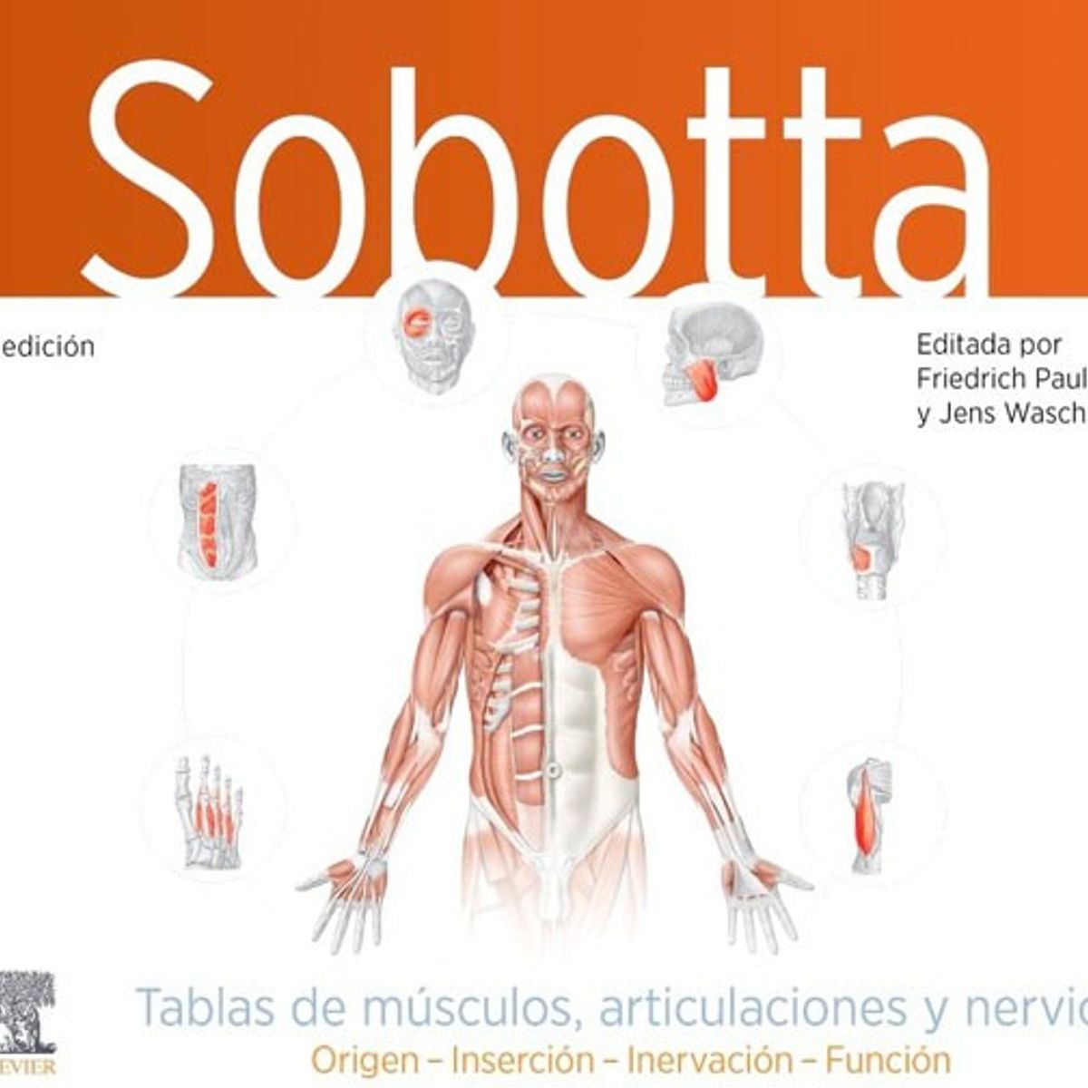 EDITORIAL MEDITERRANEO - Sobotta Tablas Músculos Articulaciones Y Nervios