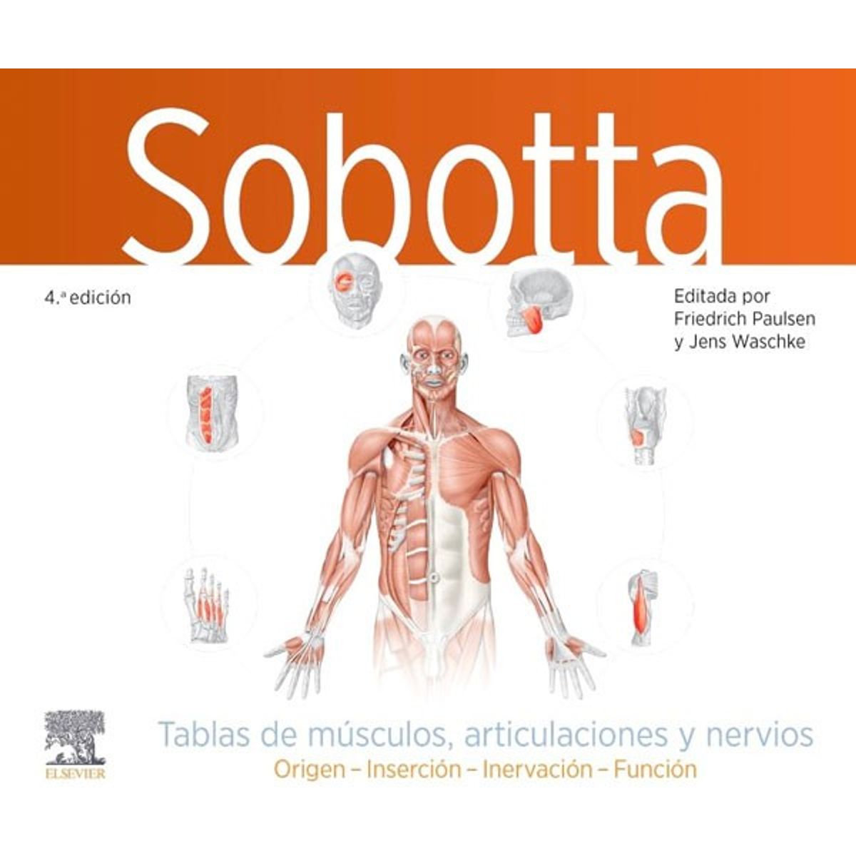 EDITORIAL MEDITERRANEO - Sobotta Tablas Músculos Articulaciones Y Nervios