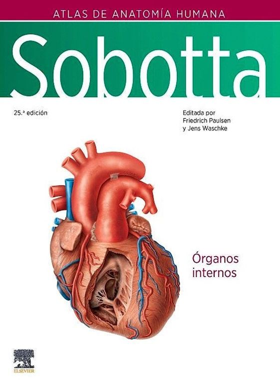 Libro Atlas De Anatomia Humana 25Ed. Vol.2
