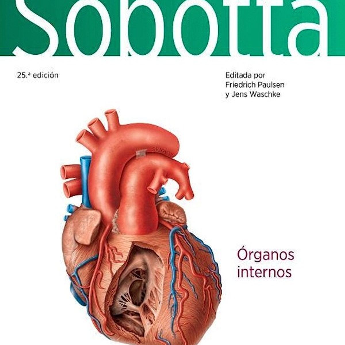 EDITORIAL MEDITERRANEO - Libro Atlas De Anatomia Humana 25Ed.  Vol.2