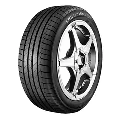GOODYEAR - NEUMATICO 245/45 R19 102Y XL EFFICIENTGRIP RFT MO