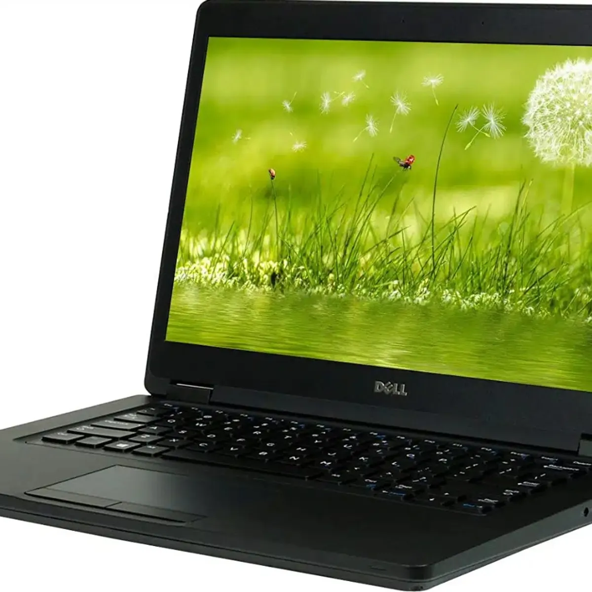 DELL - Notebook DELL CORE I5 8 GB DE RAM Y DISCO SOLIDO