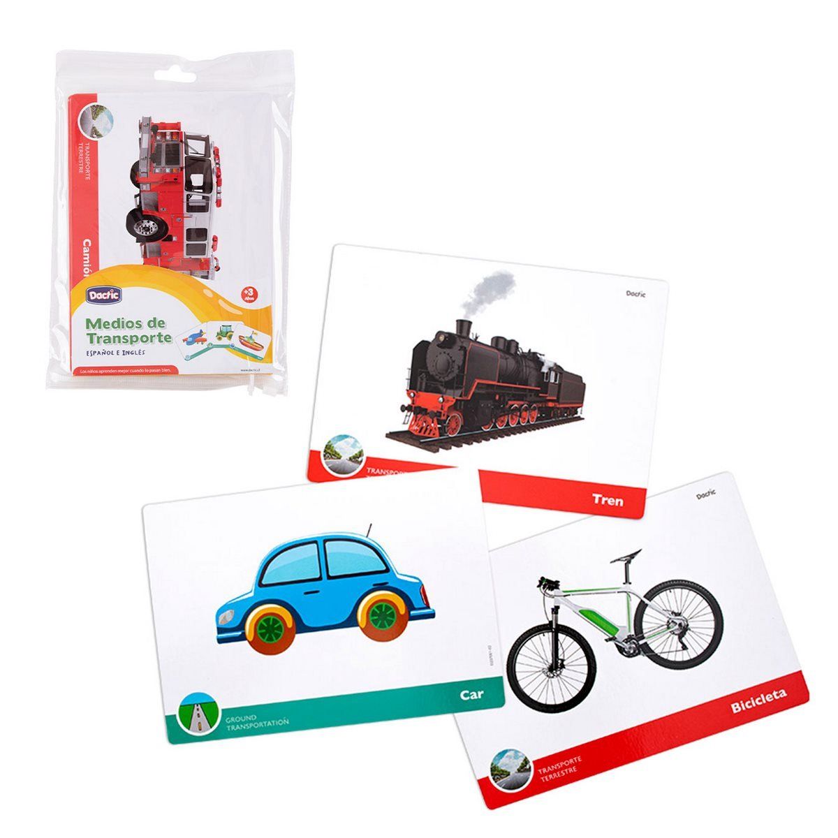 DACTIC - Lámina medio de transporte DACTIC imágenes e inglés