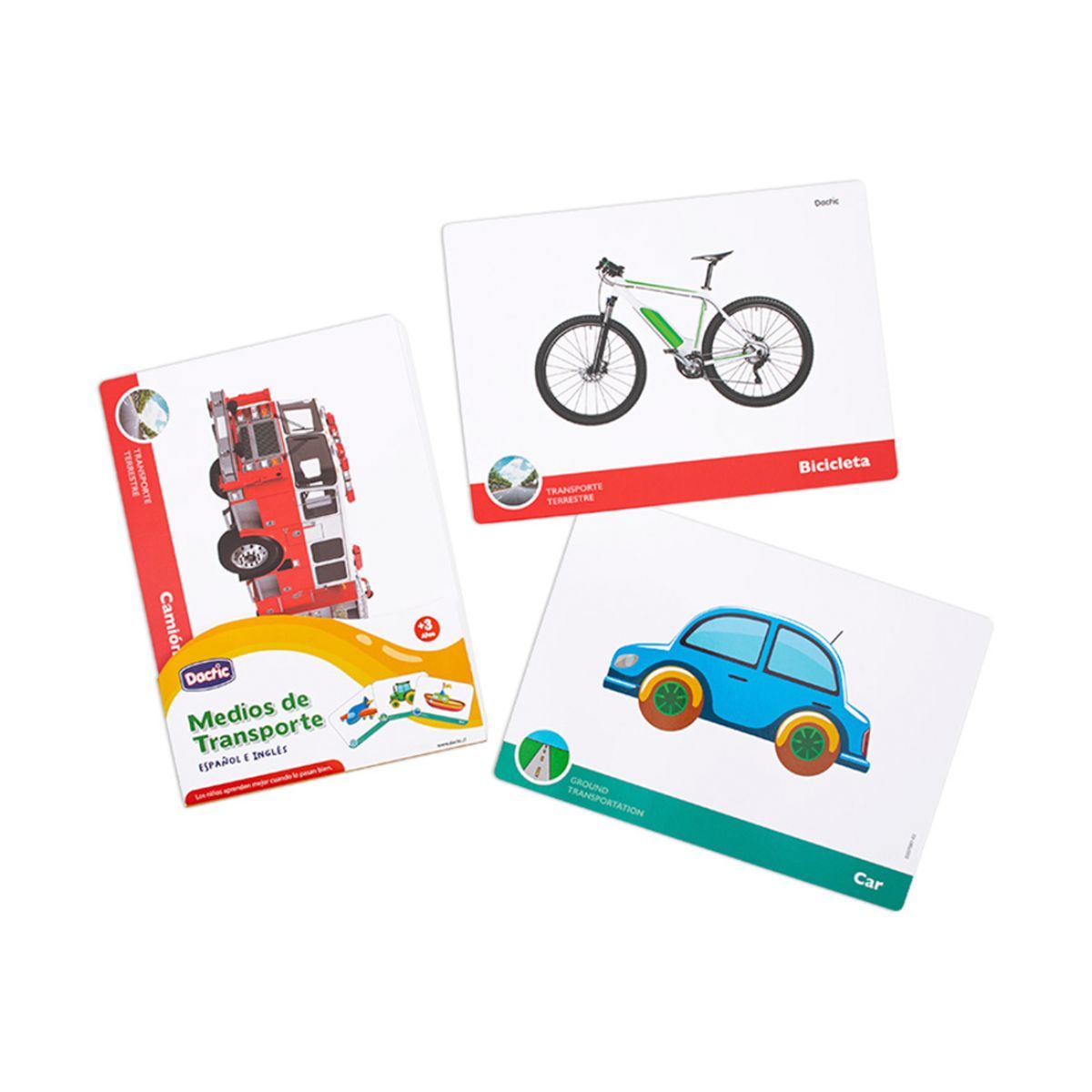 DACTIC - Lámina medio de transporte DACTIC imágenes e inglés