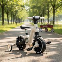 Triciclo Bicicleta Aprendizaje Pedales 2 en 1 XT05 Blanco