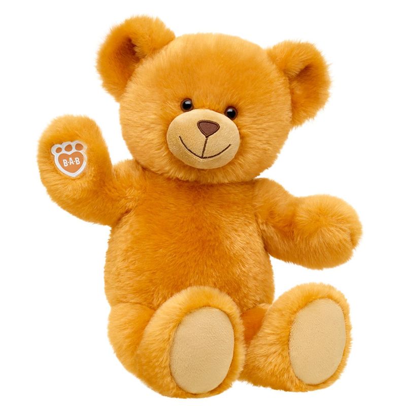 BUILD A BEAR - PELUCHE OSO LECTURA 22 BUILD-A-BEAR