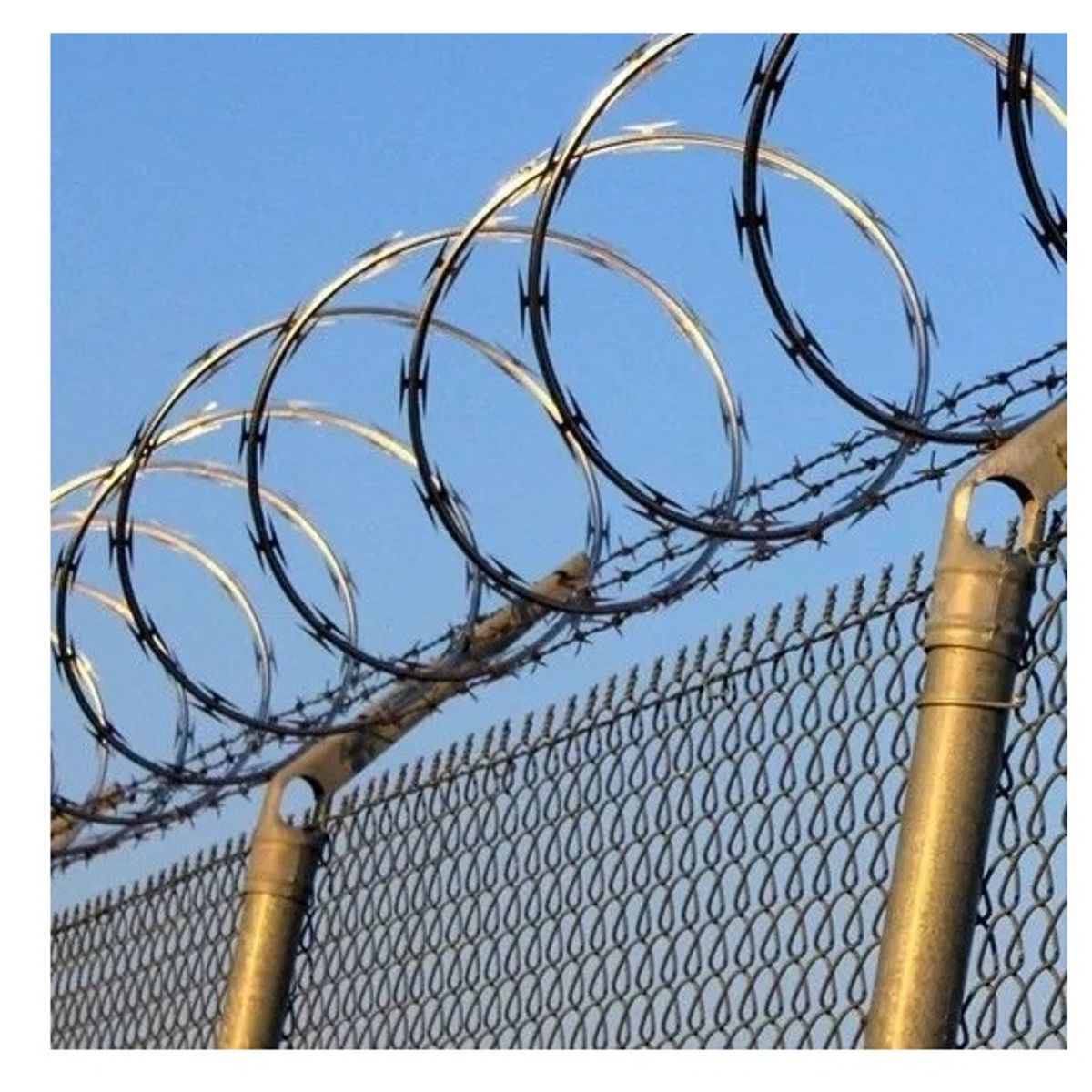GENERICO - Alambre Puas Concertina Galvanizado Cerco Jardin Cierre Perimetral