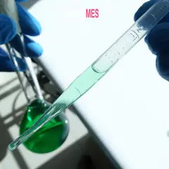 GENERICO - Pipeta pasteur plástica 3 ml 500 unidades