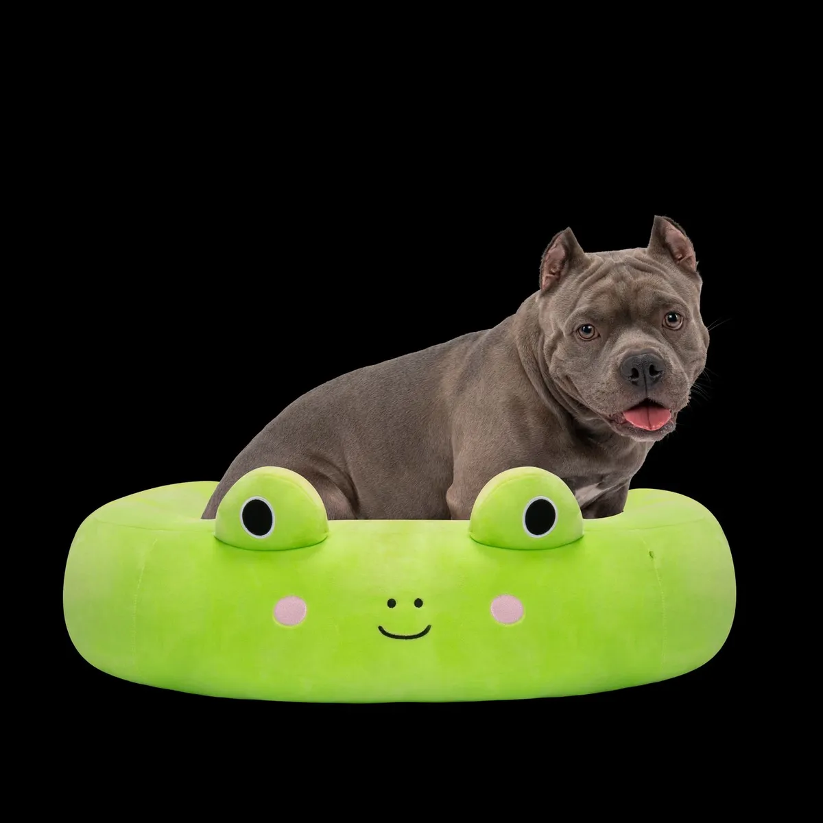 SQUISHMALLOWS - Cama Verde grande  para Perro 76 Cm. Squishmallows