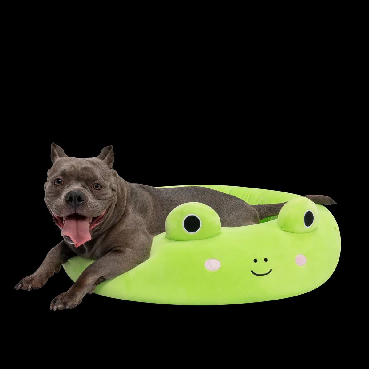 SQUISHMALLOWS - Cama Verde grande  para Perro 76 Cm. Squishmallows