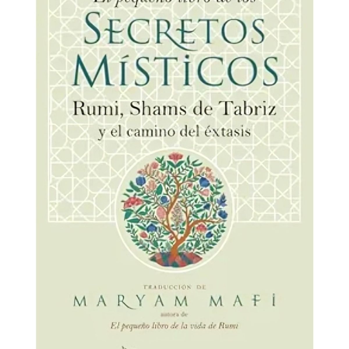 TOP10BOOKS - LIBRO El Pequeño Libro De Los Secretos Misticos