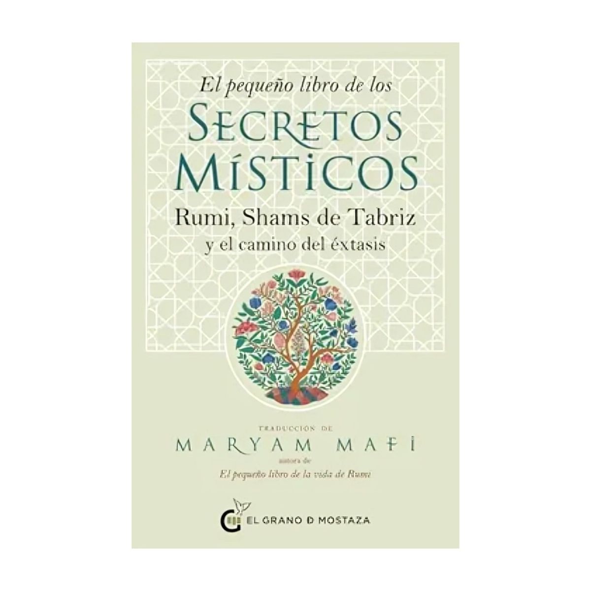 TOP10BOOKS - LIBRO El Pequeño Libro De Los Secretos Misticos