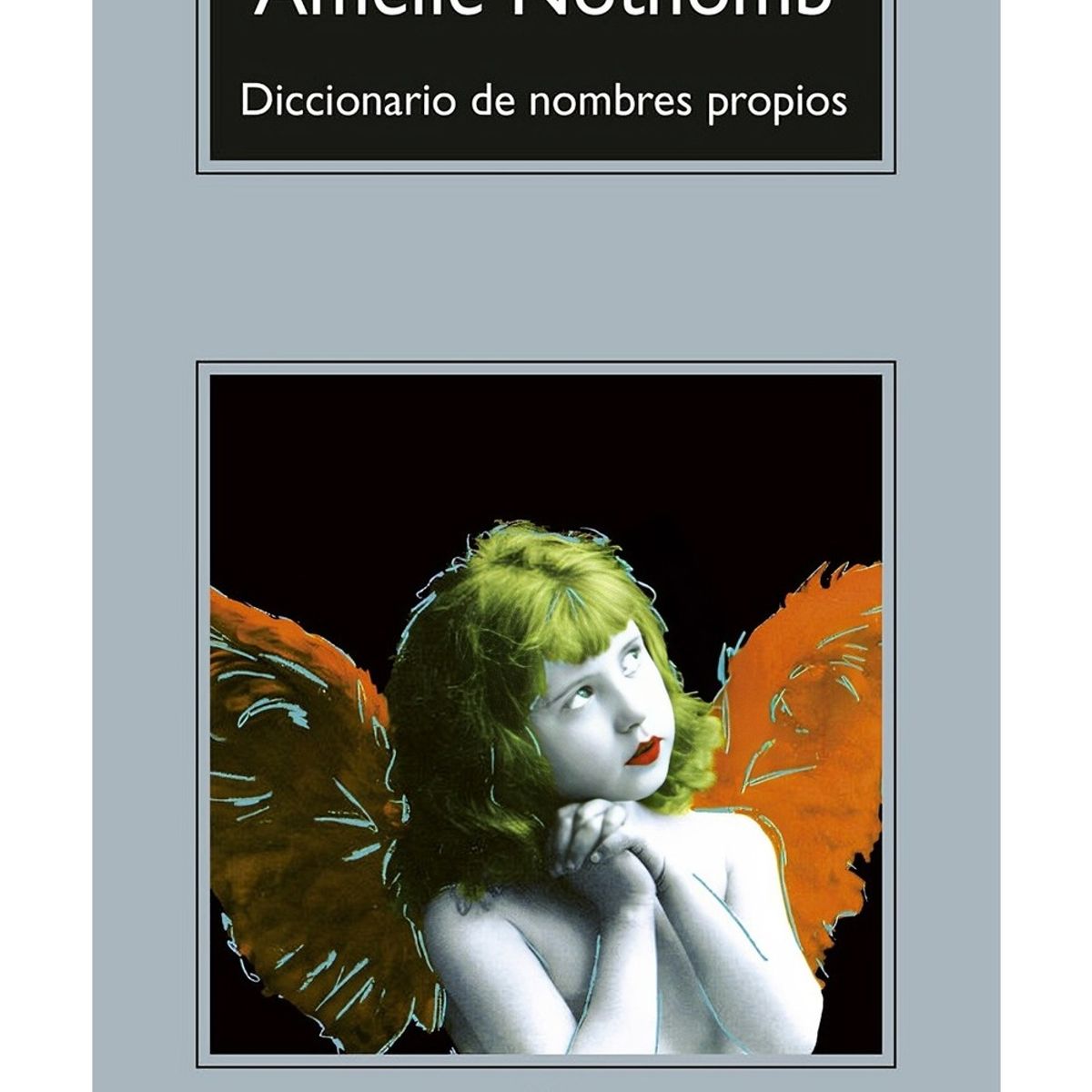 TOP10BOOKS - LIBRO Diccionario De Nombres Propios - Diccionario De Nombres Propios