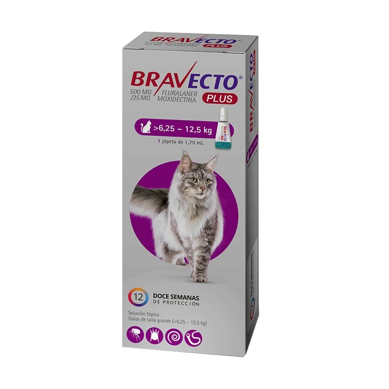 MSD - Bravecto Plus Gato 6.25 a 12.5 Kg