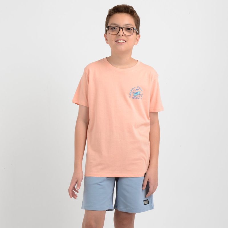 O'NEILL - POLERA MANGA CORTA COOPER NARANJO CLARO / PASTEL