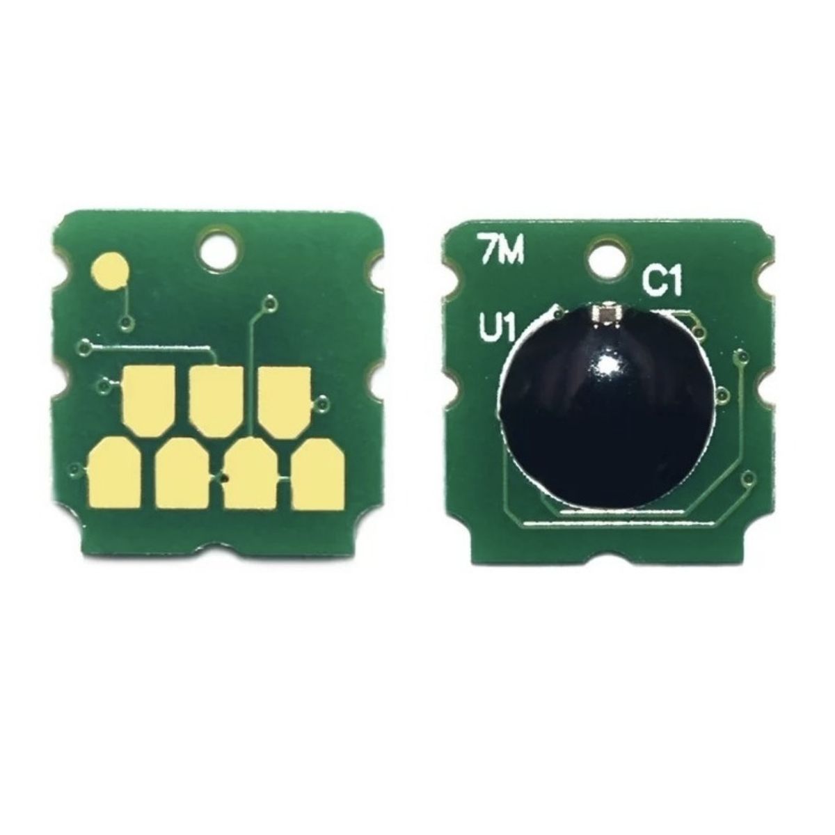 GENERICO - Chip Para Reciclar Caja Mantenimiento Epson S2100 F570 T3170 T5170