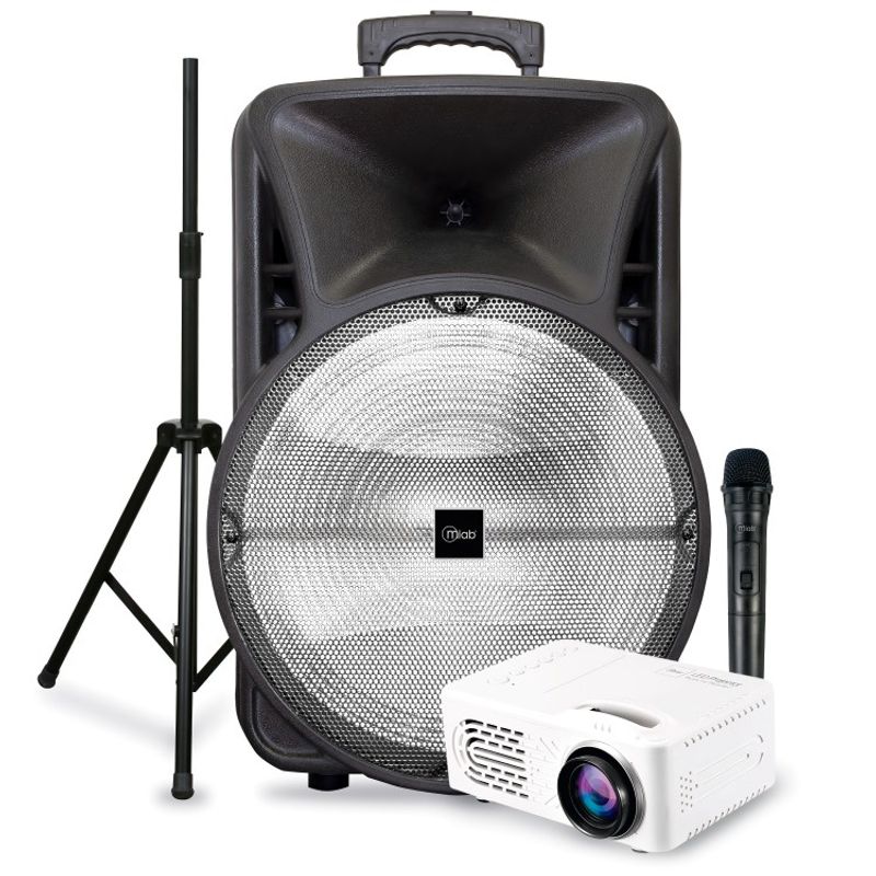 MICROLAB - Parlante HeavyBass2 15” 8893 MICROLAB