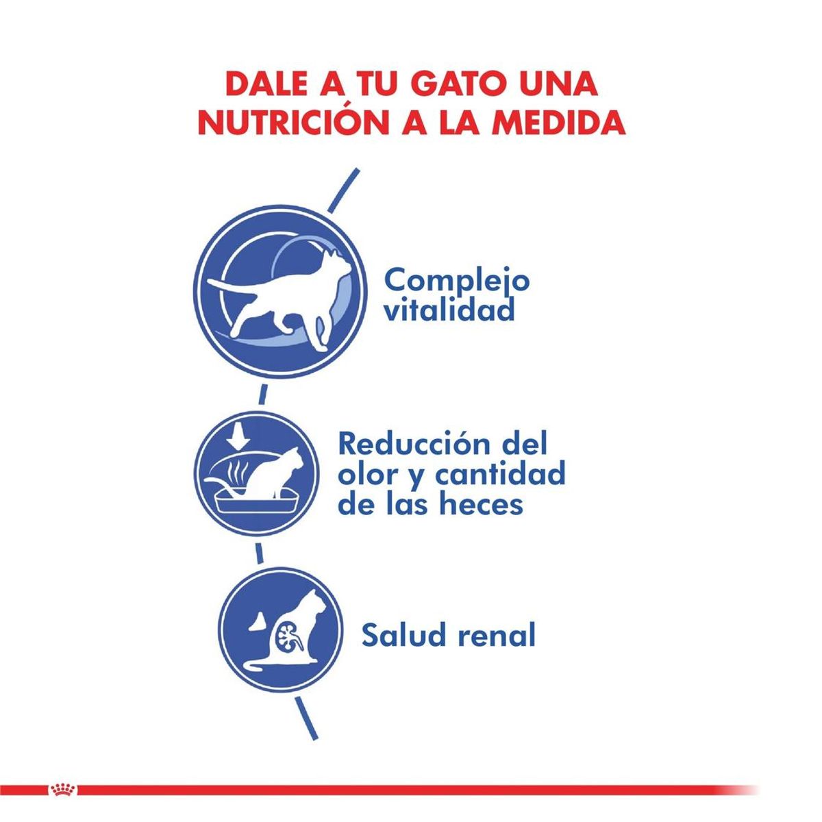 ROYAL CANIN - Alimento Royal Canin Feline Indoor 7 Para Gato Senior 1.5 kg