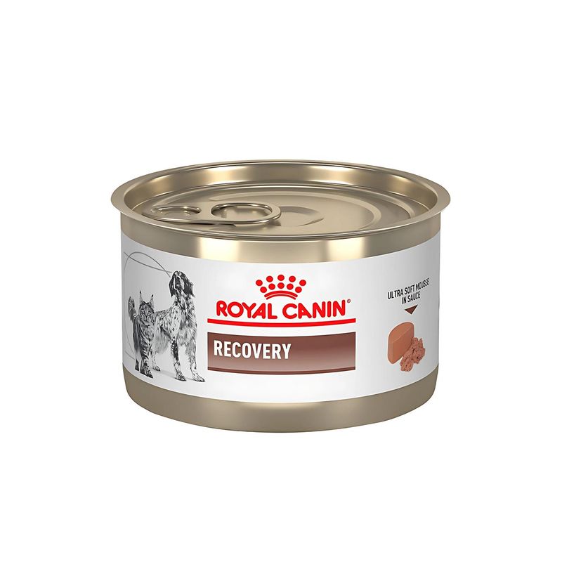 ROYAL CANIN - Alimento Royal Canin Recovery Para Perro Adulto Lata De 145g