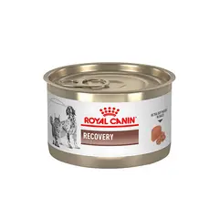 ROYAL CANIN - Alimento Recovery Para Perro Adulto Lata De 145g