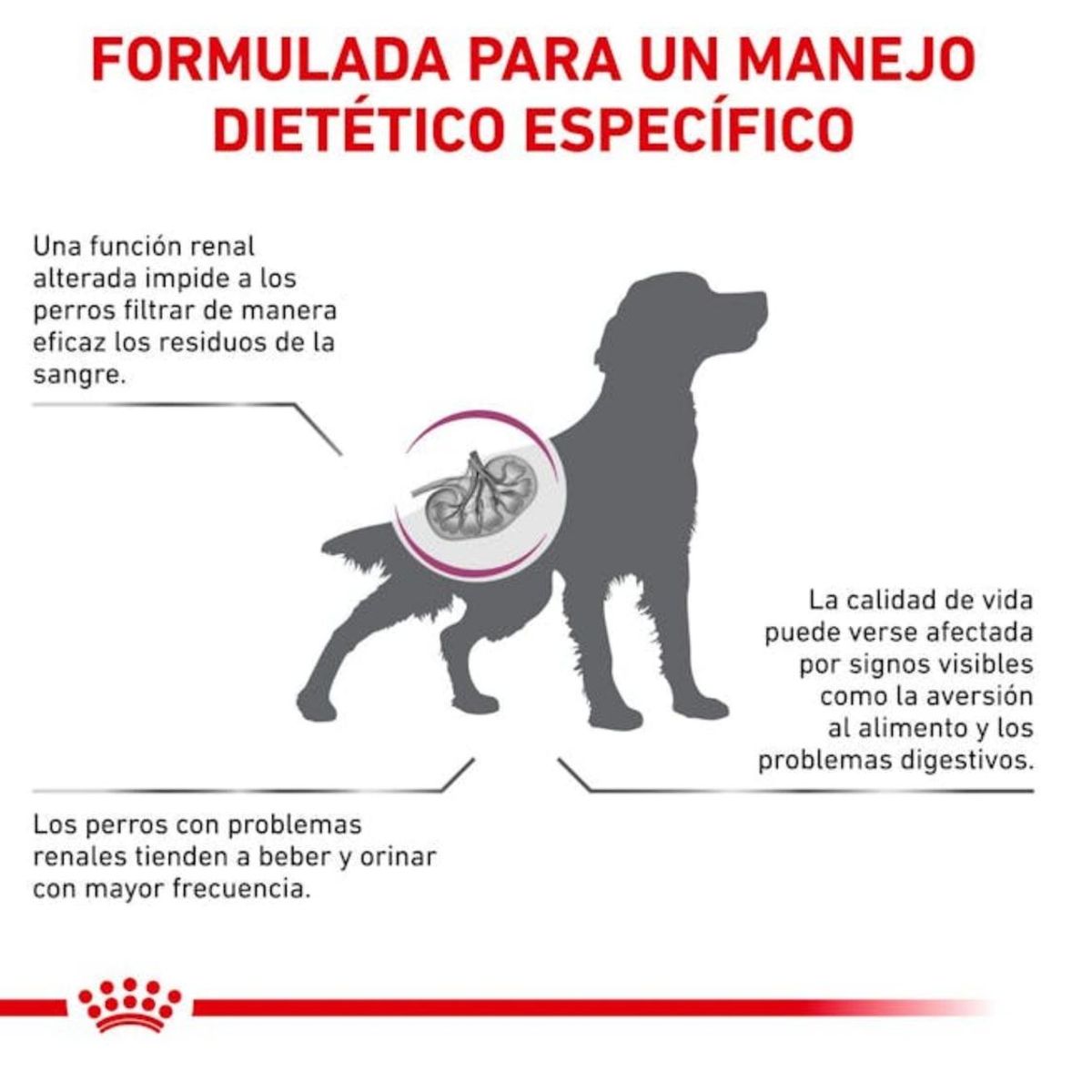 ROYAL CANIN - Royal Canin Renal Saco 10 Kilo