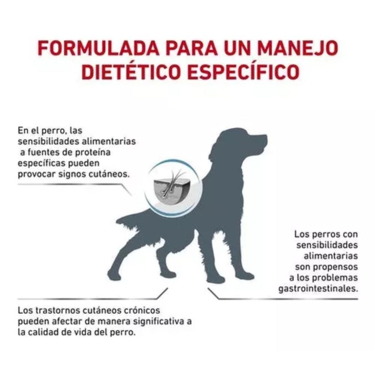 ROYAL CANIN - Alimento Royal Canin Hypoallergenic Para Perro Adulto 2kg