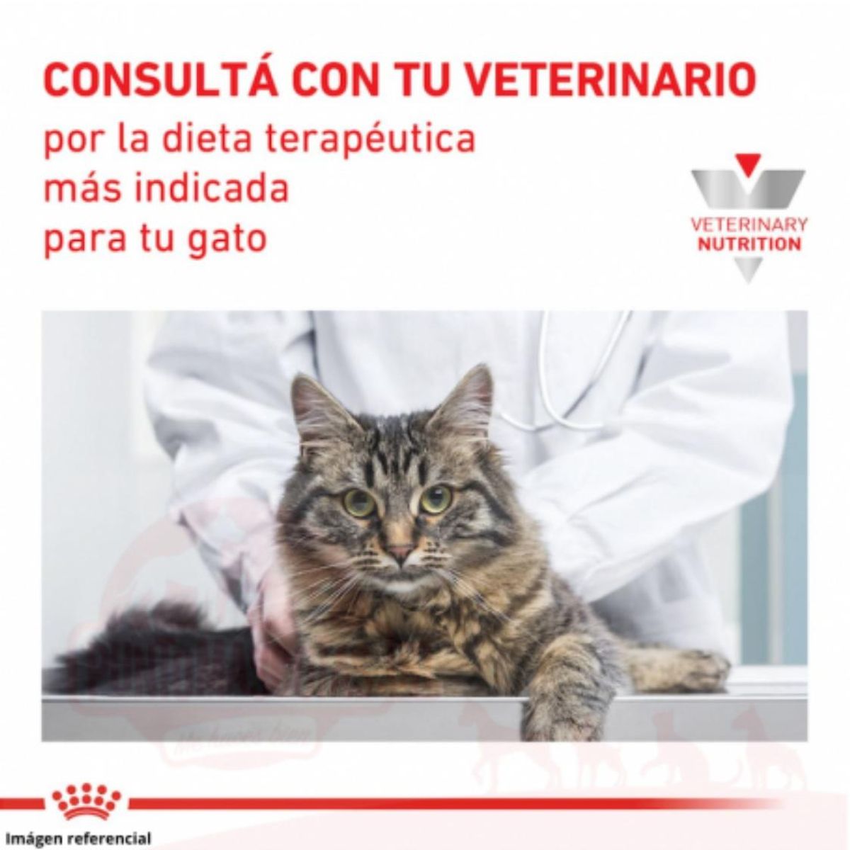 ROYAL CANIN - Royal Canin Alimento Para Gatos Gastrointestinal 2kg.