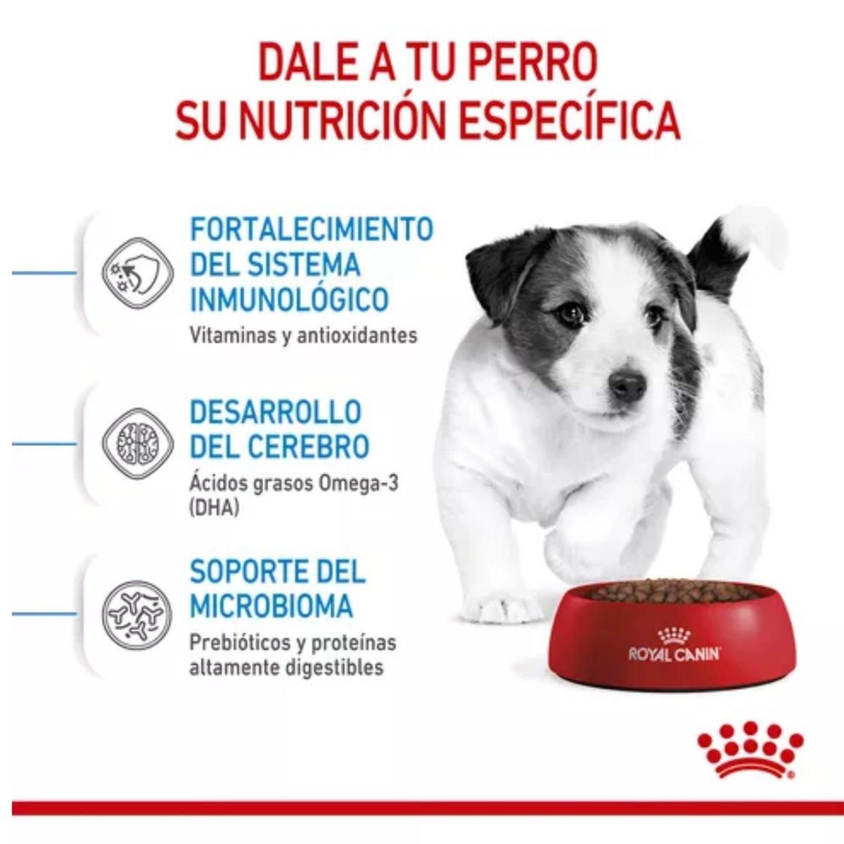 ROYAL CANIN - Royal Canin Mini Puppy Saco 1 Kilo