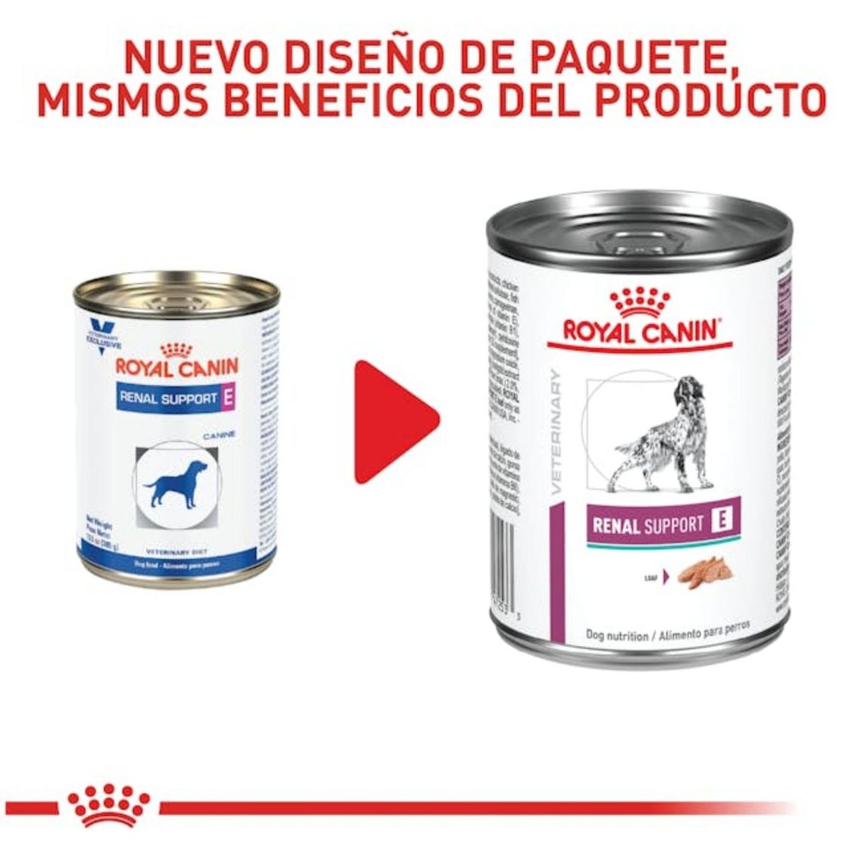ROYAL CANIN - Royal Canin Renal Support Lata 385gr - Pack 6 Latas