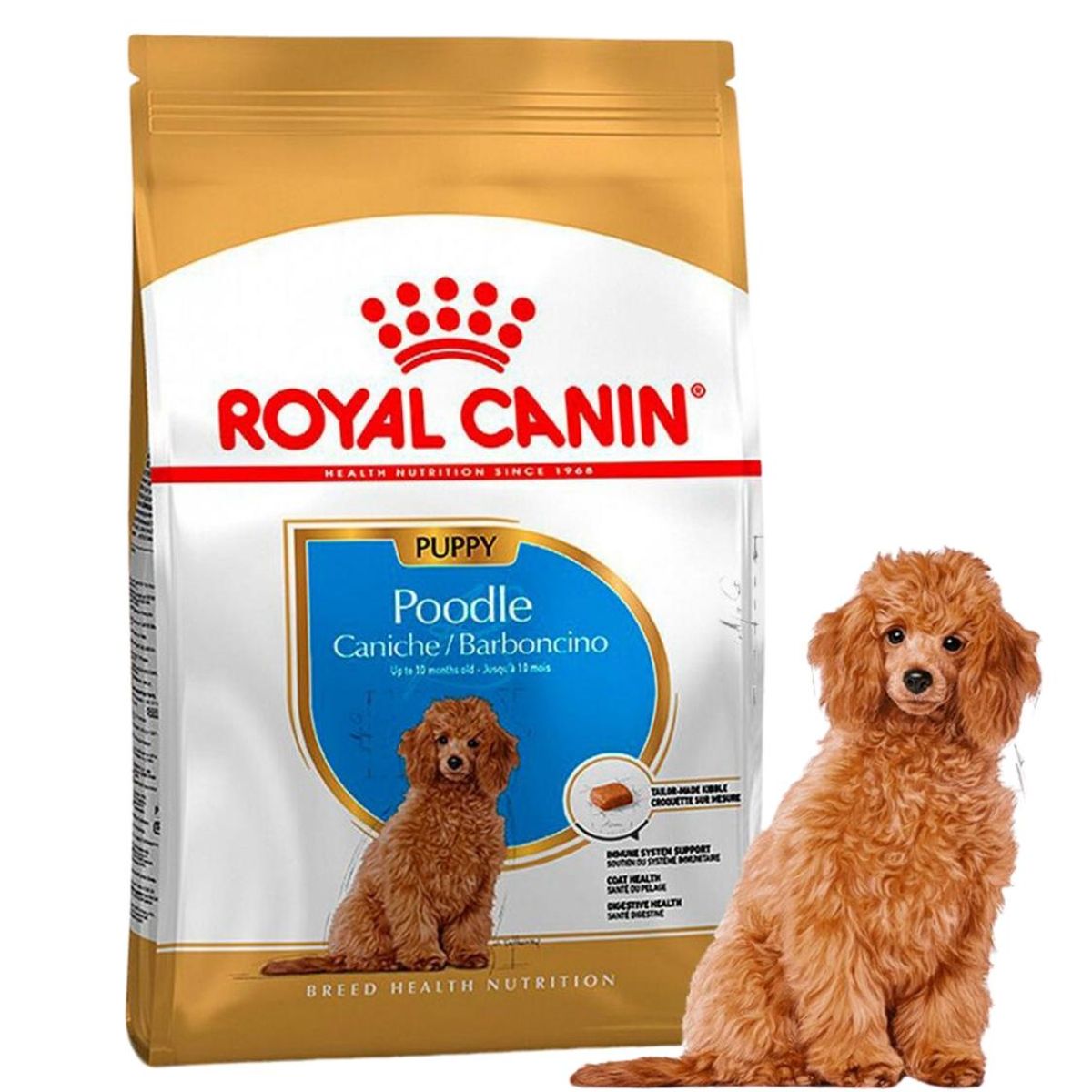 ROYAL CANIN - Royal Canin Alimento Para Poodle Puppy 3 Kg