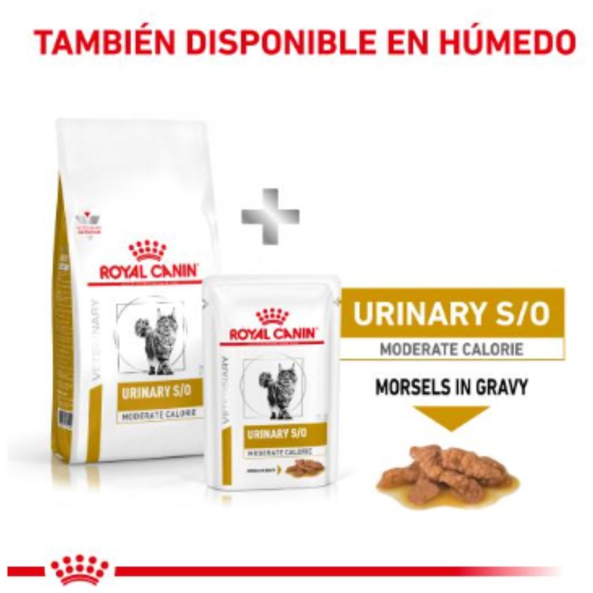 ROYAL CANIN - Royal Urinary S/o Feline Saco 1.5 Kilo