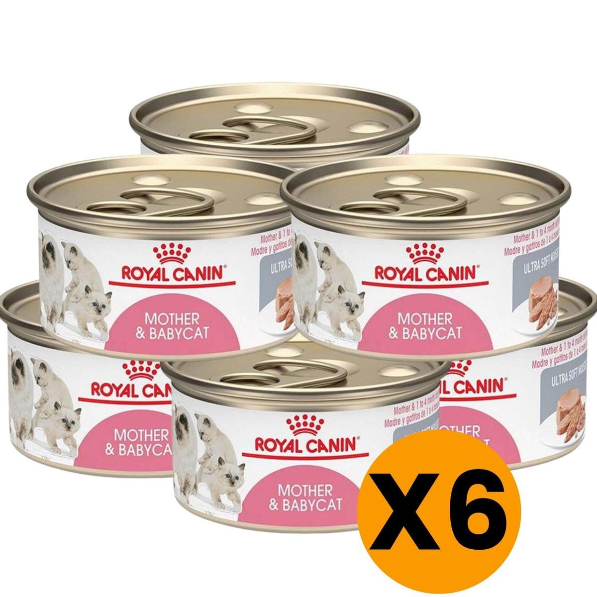 ROYAL CANIN - Royal Canin Mother And Babycat Lata 145gr - Pack 6 Latas