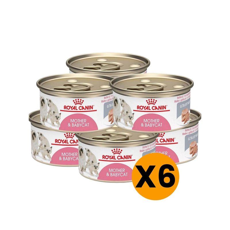 ROYAL CANIN - ALIMENTO ROYAL CANIN MOTHER AND BABYCAT Lata 145Gr PACK X6
