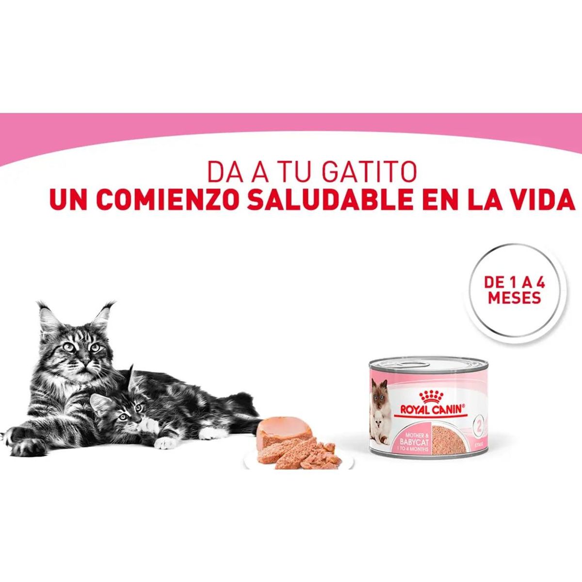 ROYAL CANIN - Royal Canin Mother And Babycat Lata 145gr - Pack 6 Latas