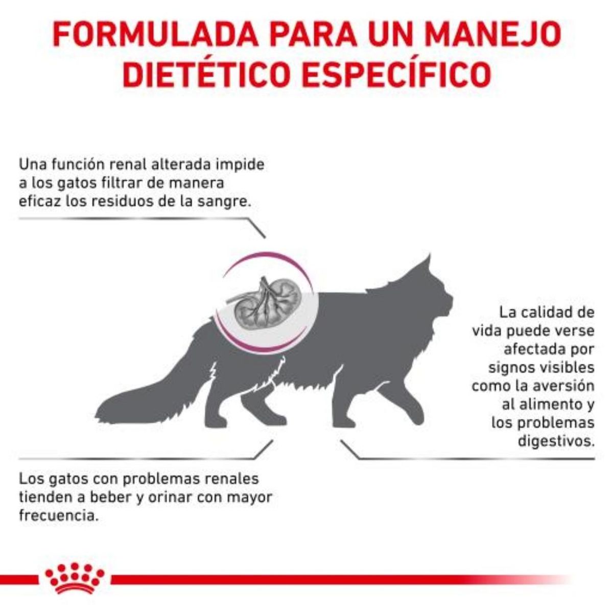 ROYAL CANIN - Alimento Royal Canin Feline Renal Para Gato Adulto 2kg